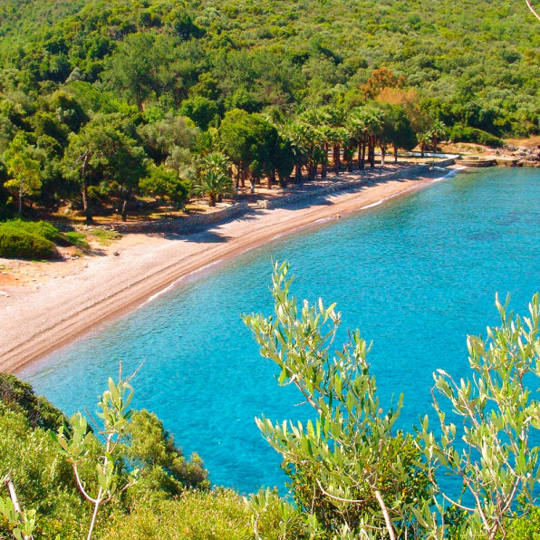 Datça Domuzbükü